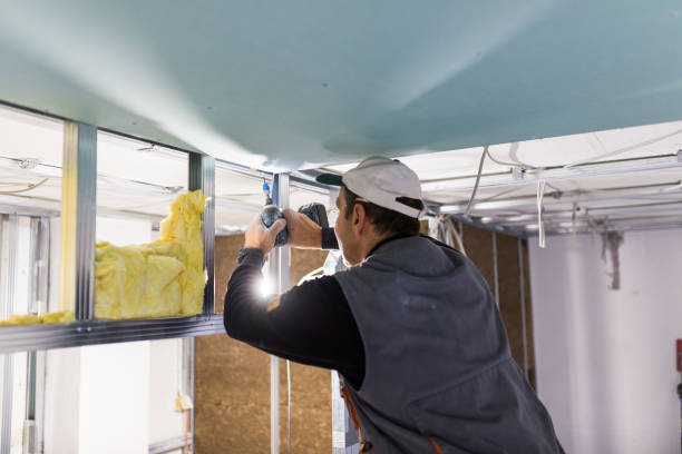 Best Attic Insulation Near Me  in St Paul, MO