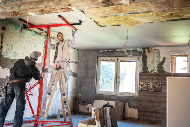 Best Cellulose Insulation  in St Paul, MO