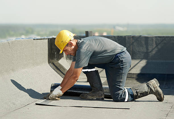 Best Commercial Insulation Contractor  in St Paul, MO