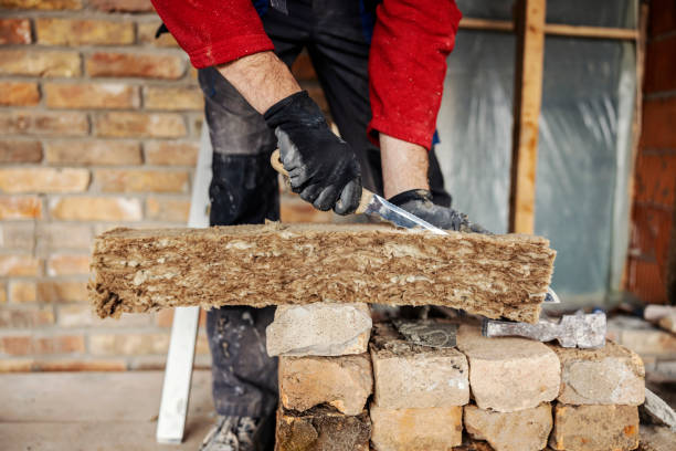 Best Insulation Contractor Near Me  in St Paul, MO
