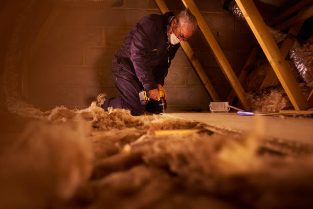 Best Insulation Repair Services  in St Paul, MO